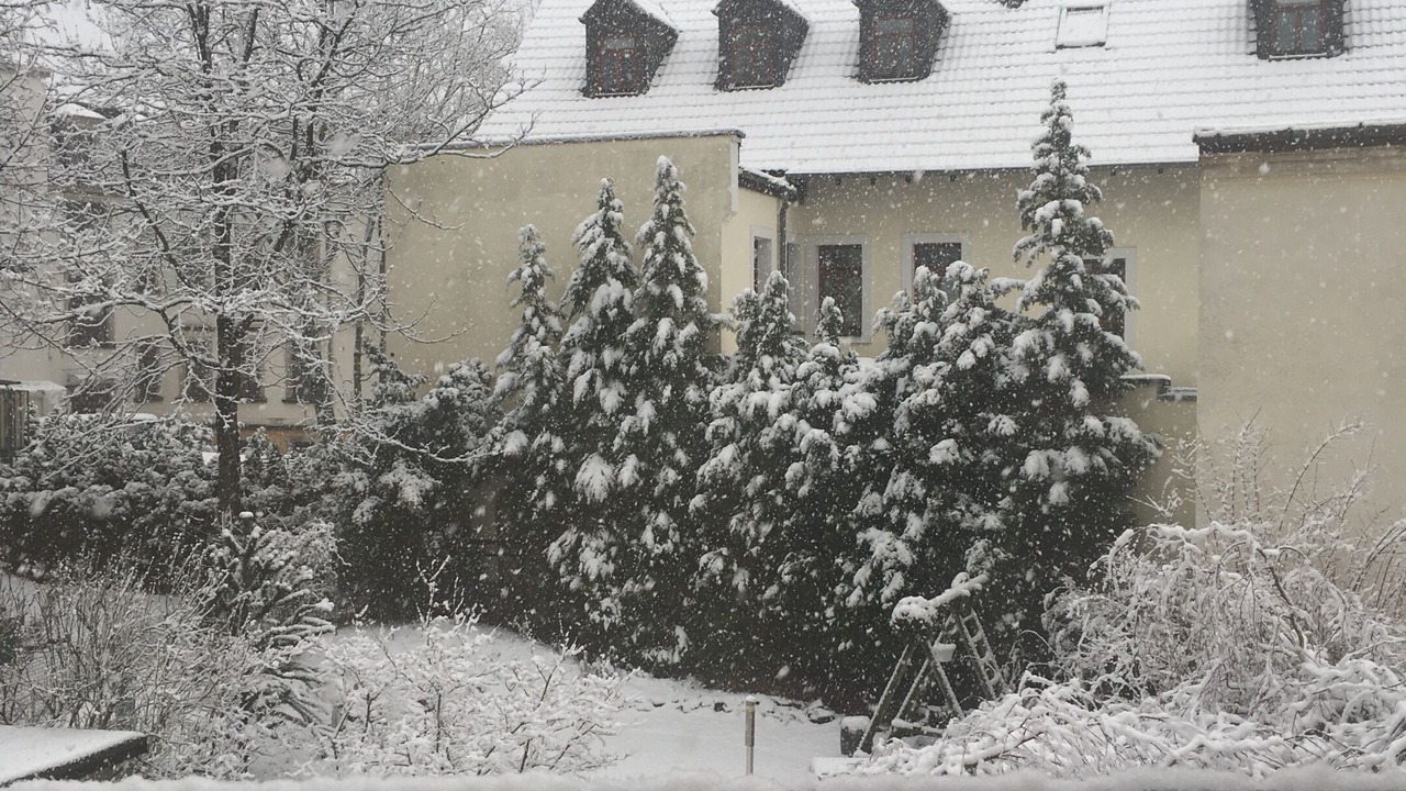 Photo of Outdoor in Blasewitz