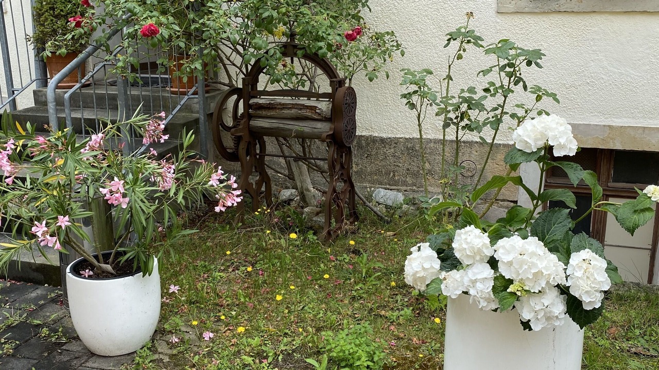 Photo of Outdoor in Blasewitz