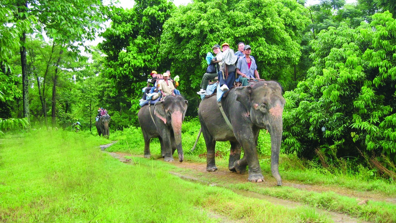 Photo of Others in Sauraha
