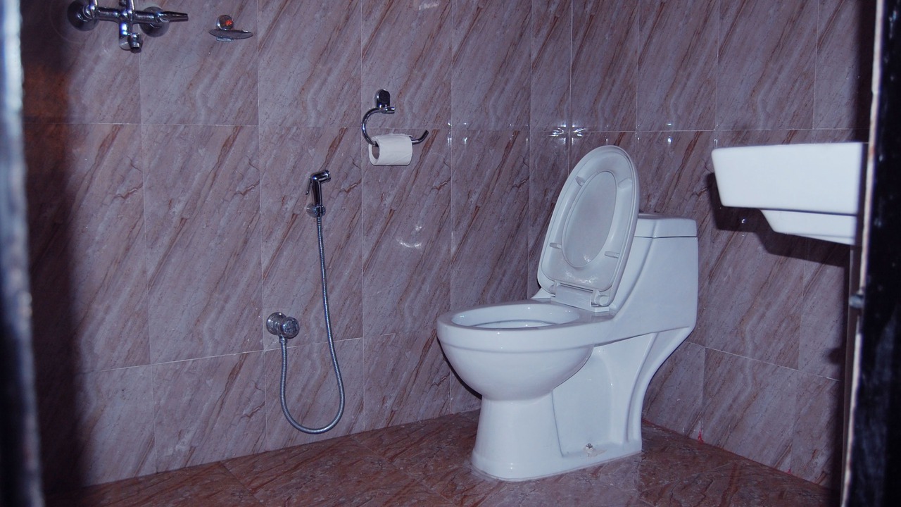 Photo of Bathroom in Sauraha