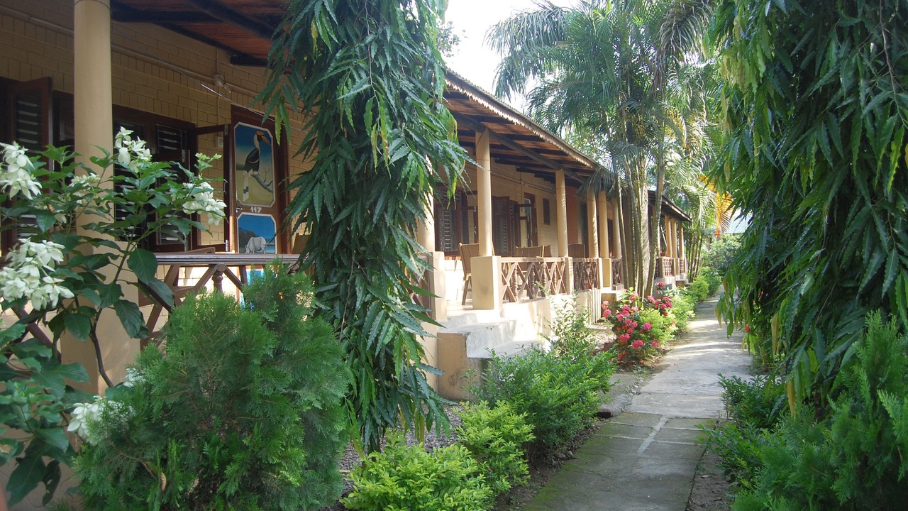 Photo of Outdoor in Sauraha