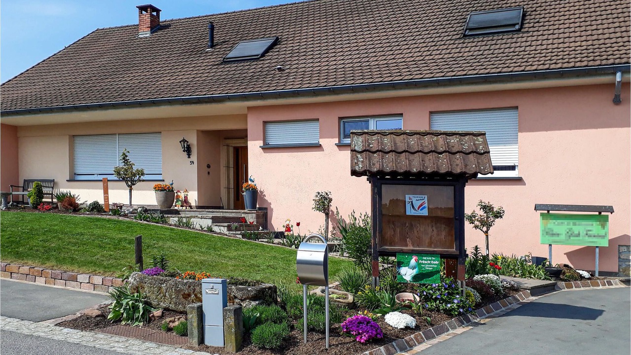 Photo of Outdoor in Bous