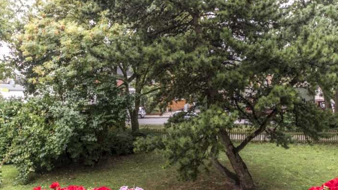 Photo of Outdoor in Ricklingen