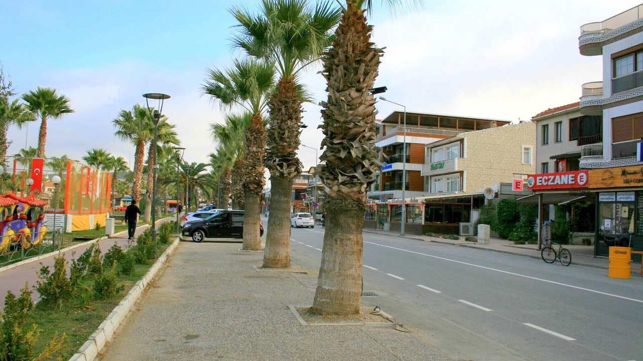 Photo of Others in Sigacık