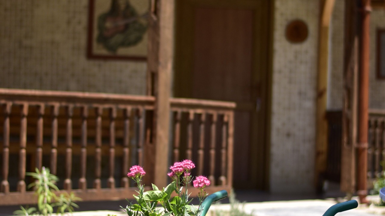 Photo of Bedroom in Adrasan
