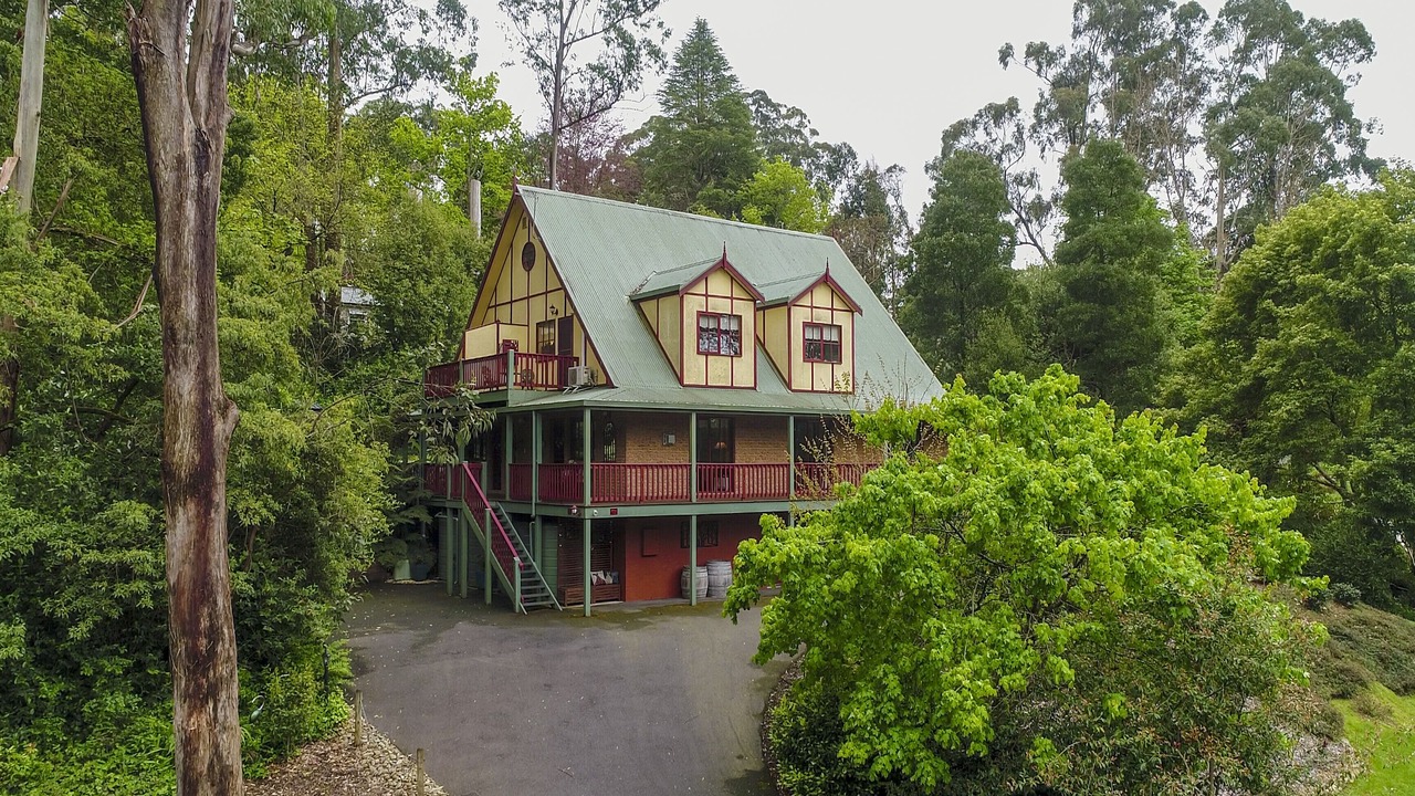 Photo of Outdoor in Mount Dandenong