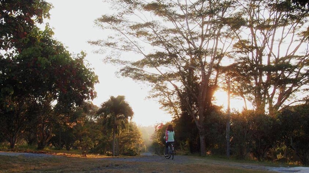 Photo of Outdoor in Wang Nam Khiao