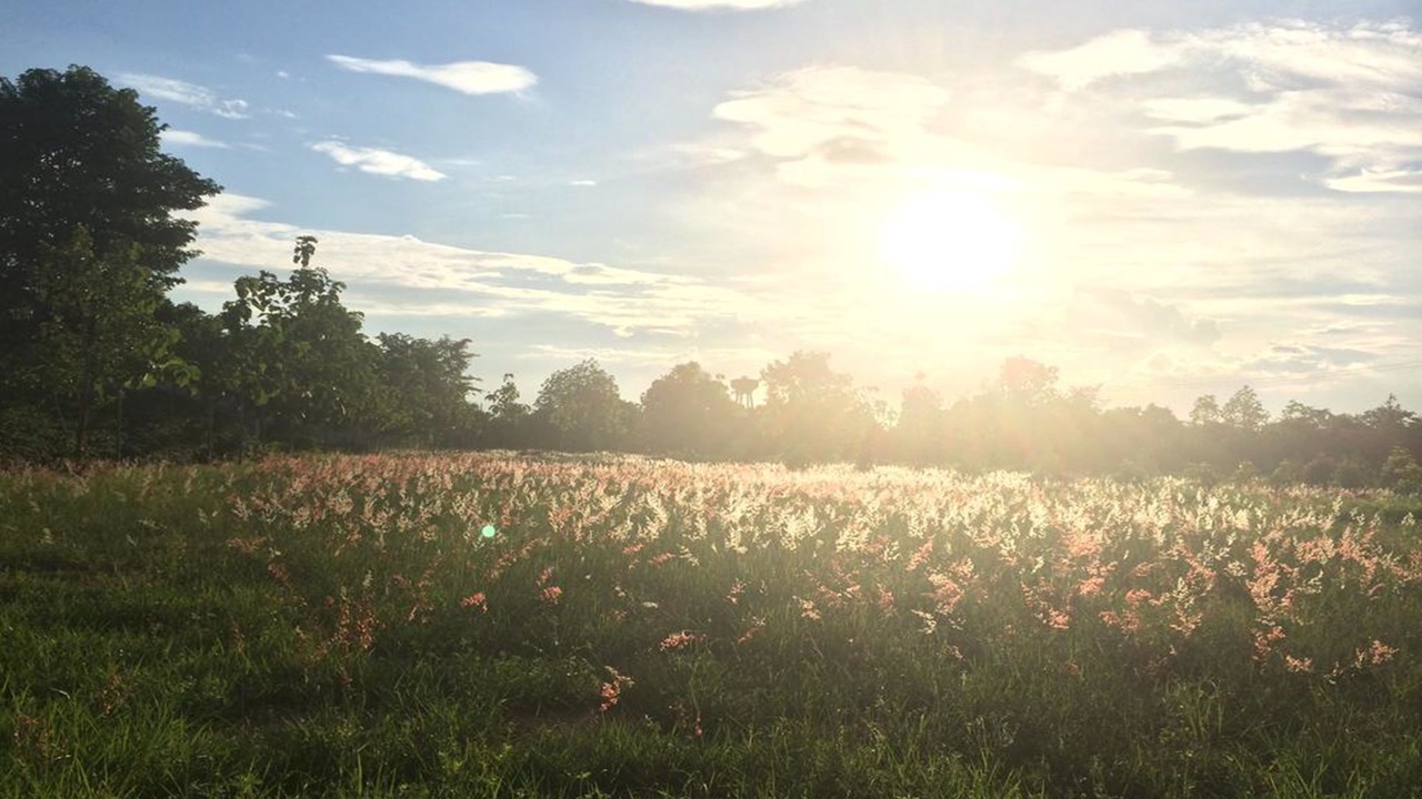 Photo of Outdoor in Nakhon Ratchasima