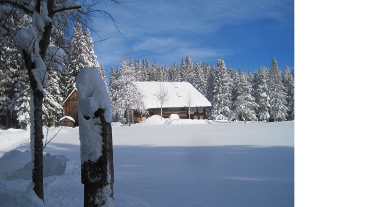 Photo of Outdoor in Schwarzenbach