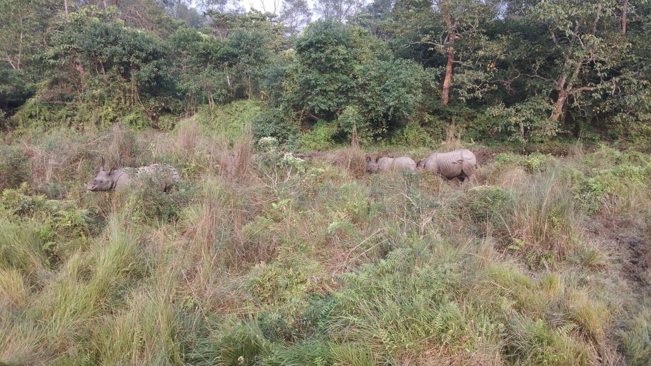 Photo of Outdoor in Meghauli