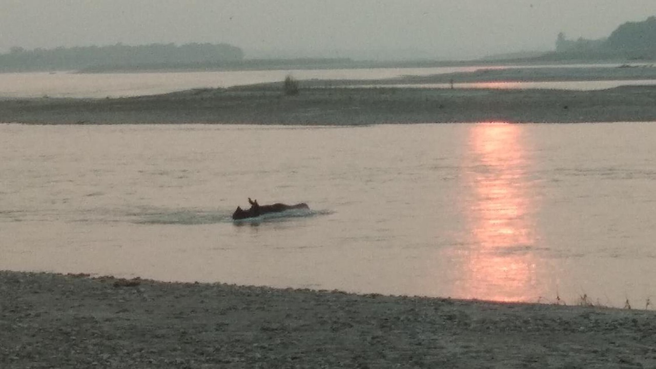 Photo of Others in Meghauli