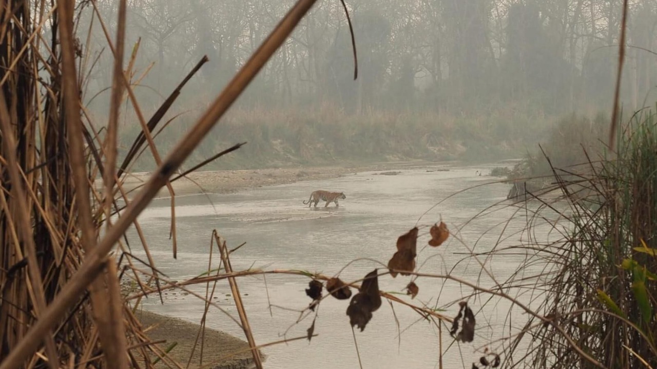 Photo of Others in Meghauli