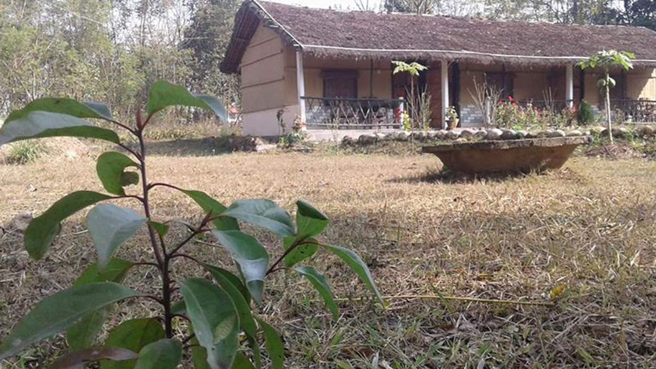 Photo of Outdoor in Meghauli