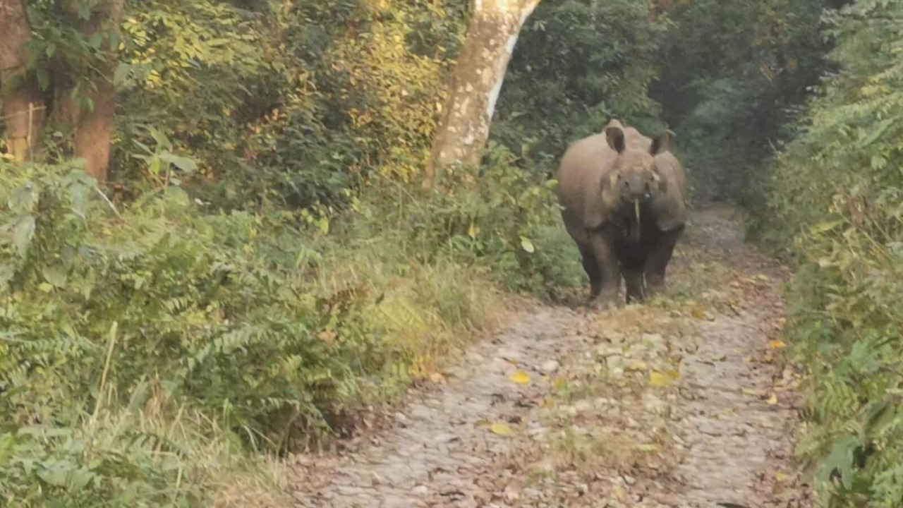 Photo of Outdoor in Meghauli