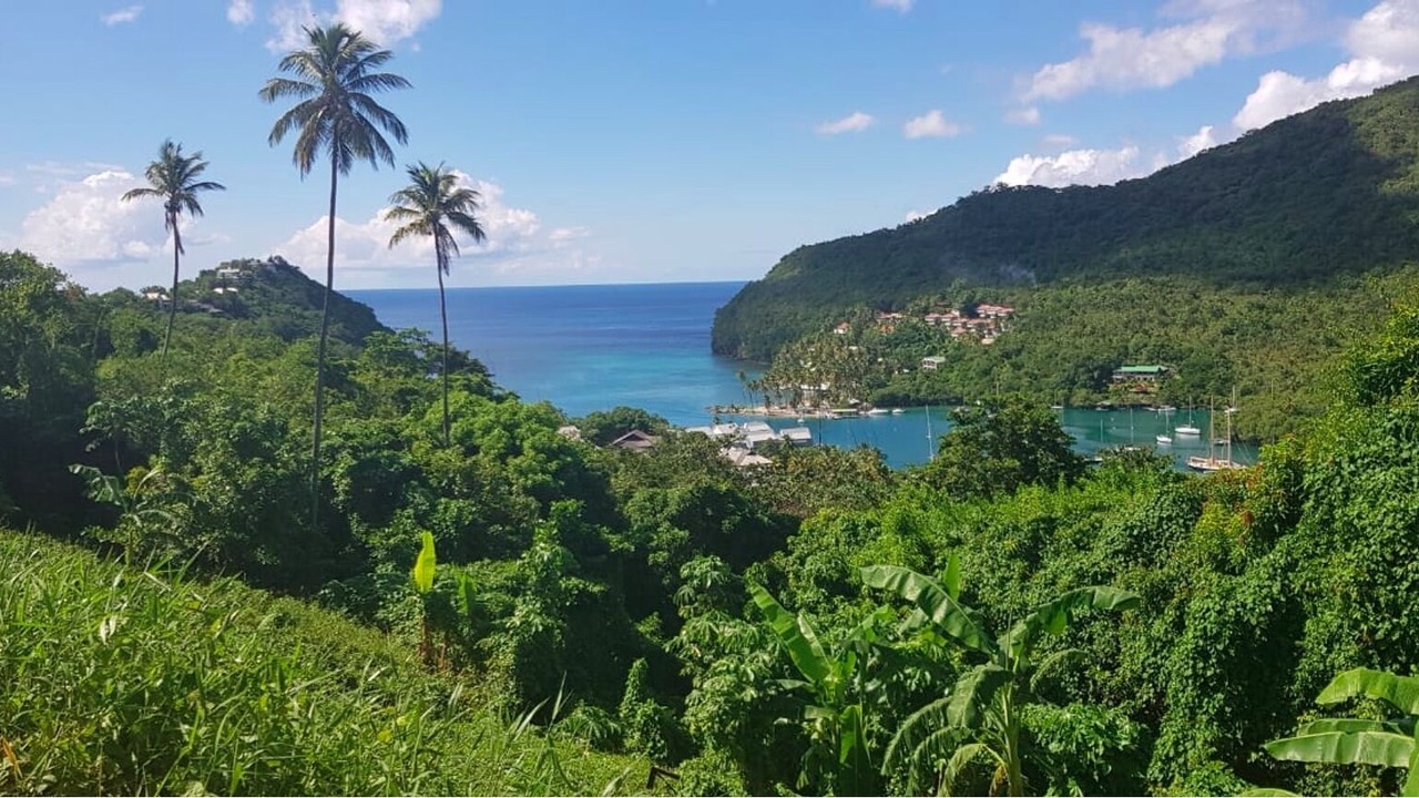 Photo of Others in Marigot Bay
