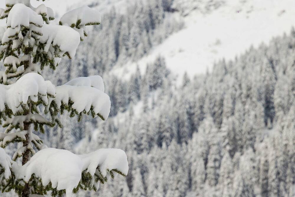 Photo of Others in Lech am Arlberg