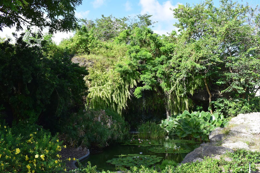 Photo of Outdoor in Little Battaleys
