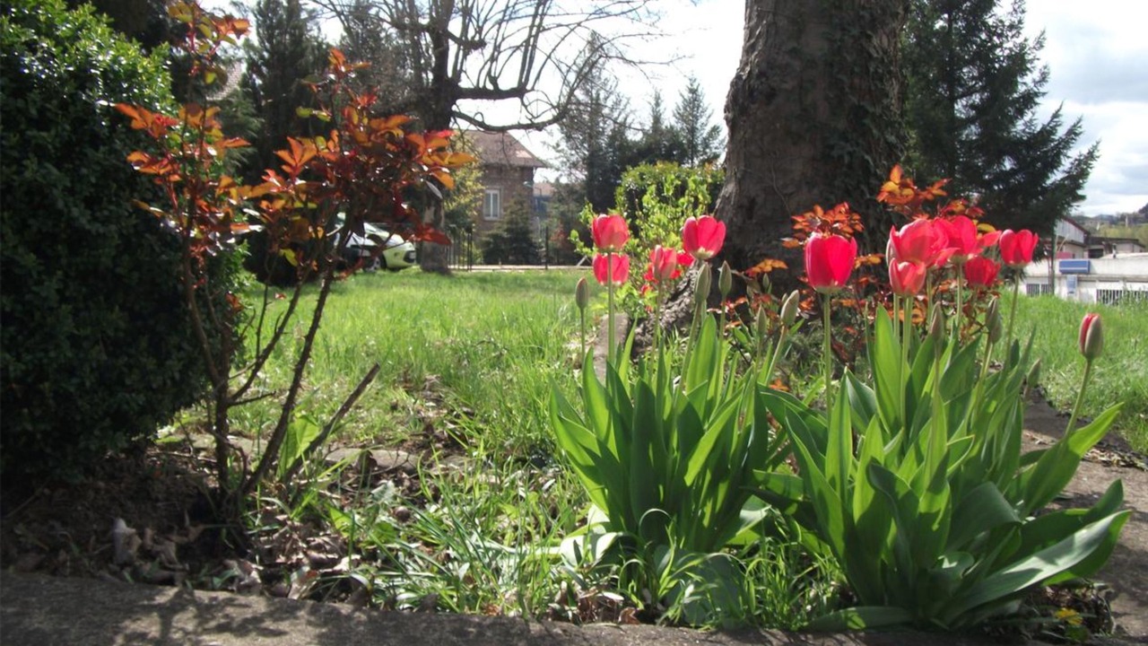 Photo of Outdoor in Lamastre