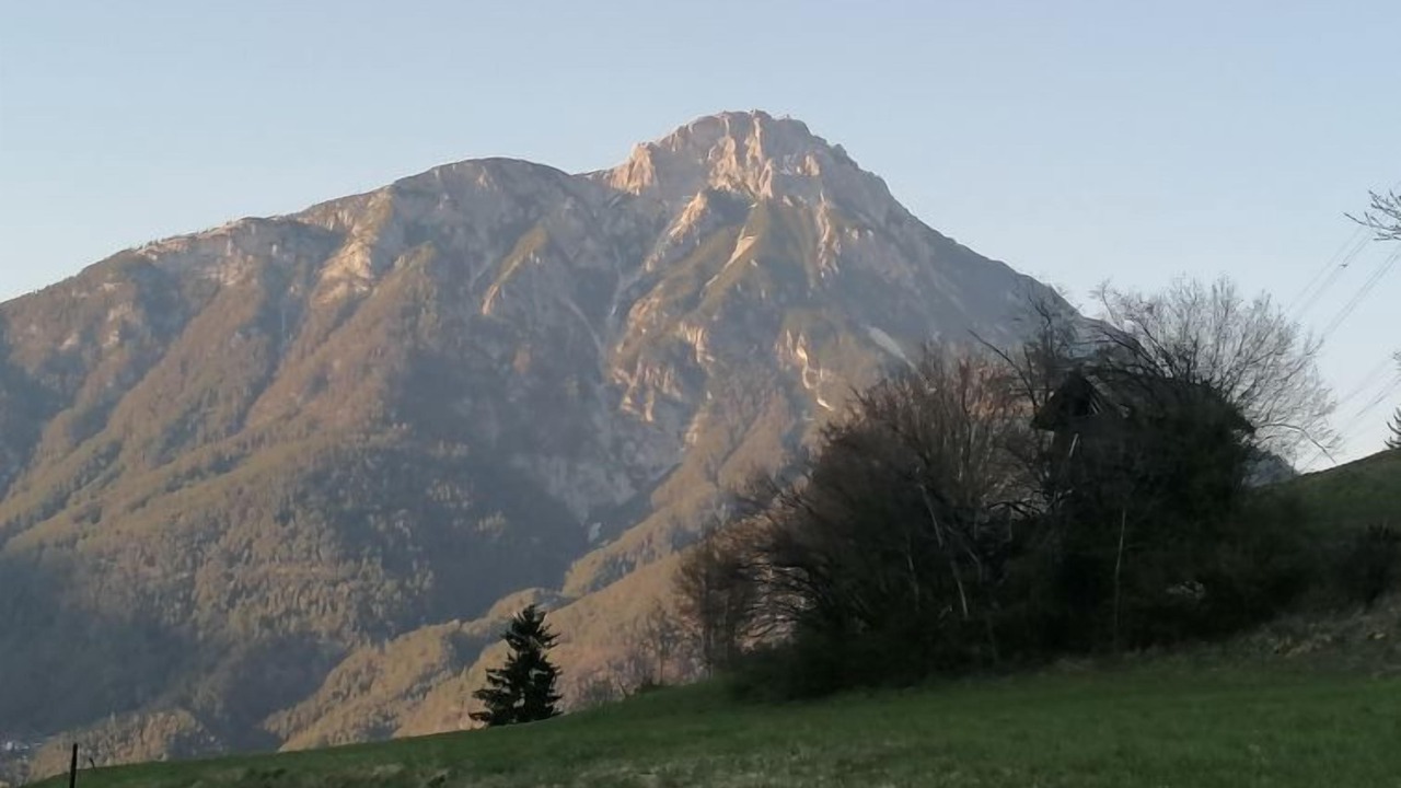 Photo of Others in Plangeross