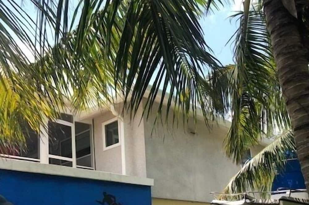Photo of Outdoor in Rainbow Bay