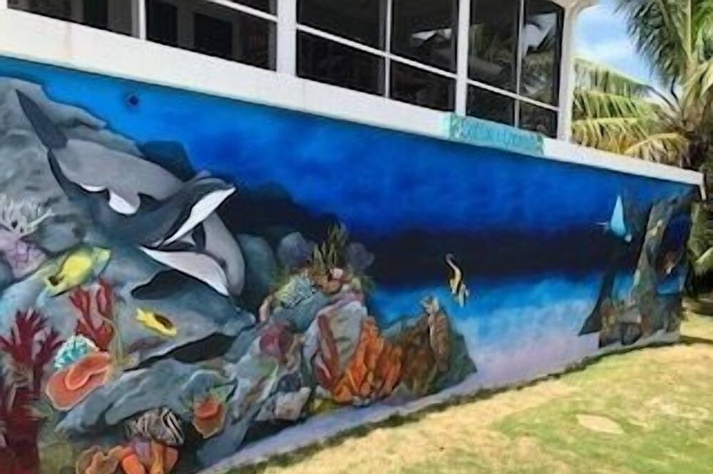 Photo of Outdoor in Rainbow Bay