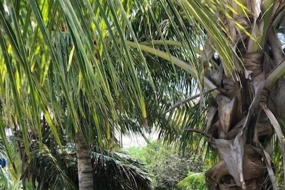 Photo of Others in Rainbow Bay