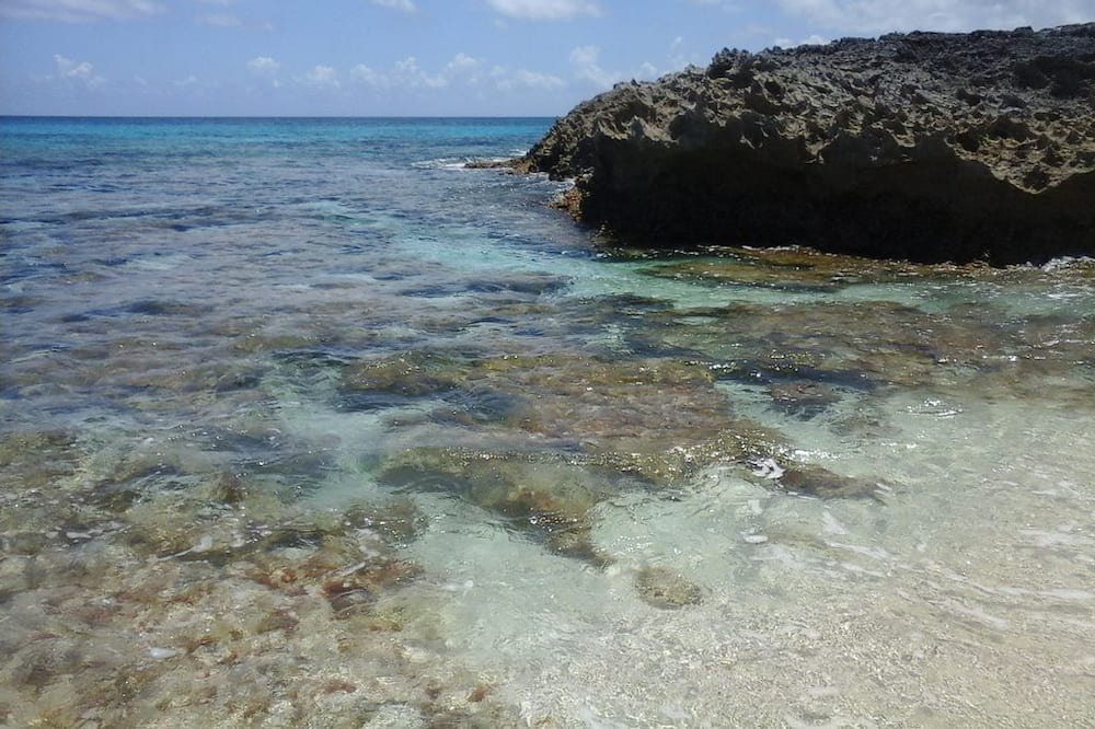 Photo of Others in Rainbow Bay