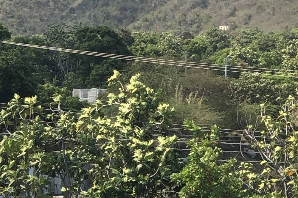Photo of Outdoor in Bull Bay