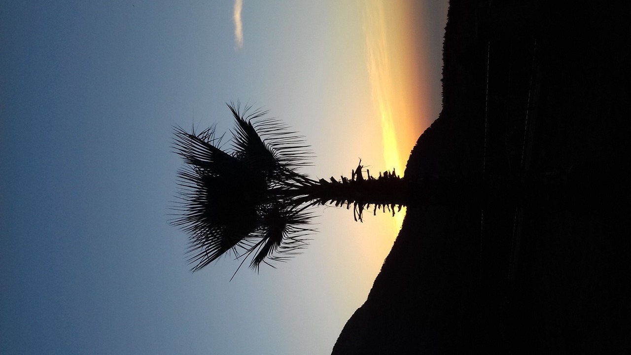 Photo of Outdoor in Beycik