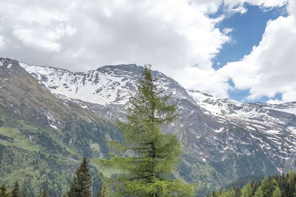 Photo of Outdoor in Tux
