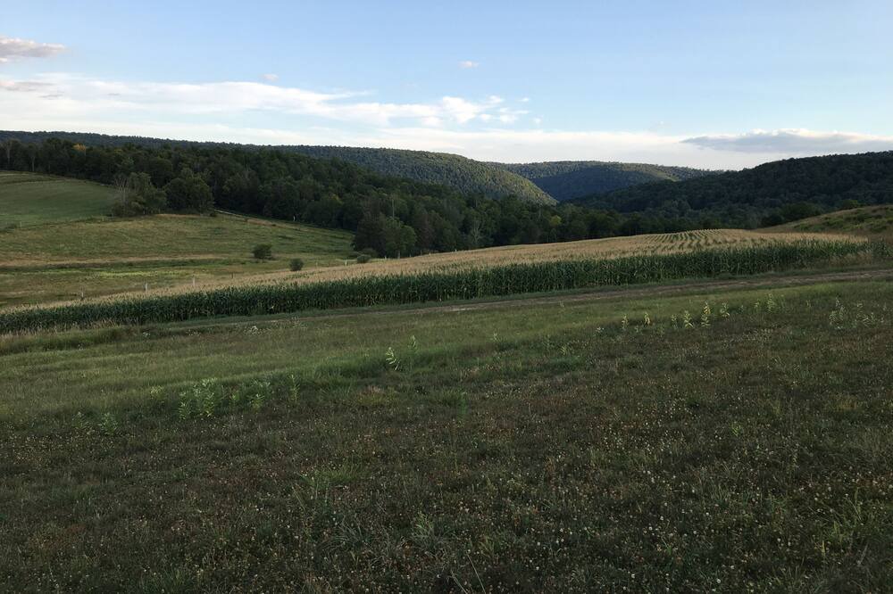 Photo of Outdoor in Ralston