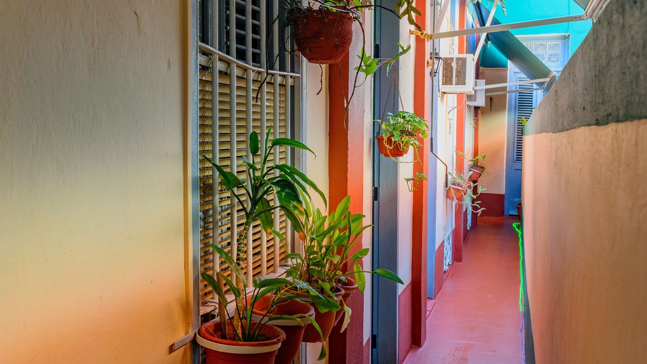 Photo of Patio Balcony in Centro Havana