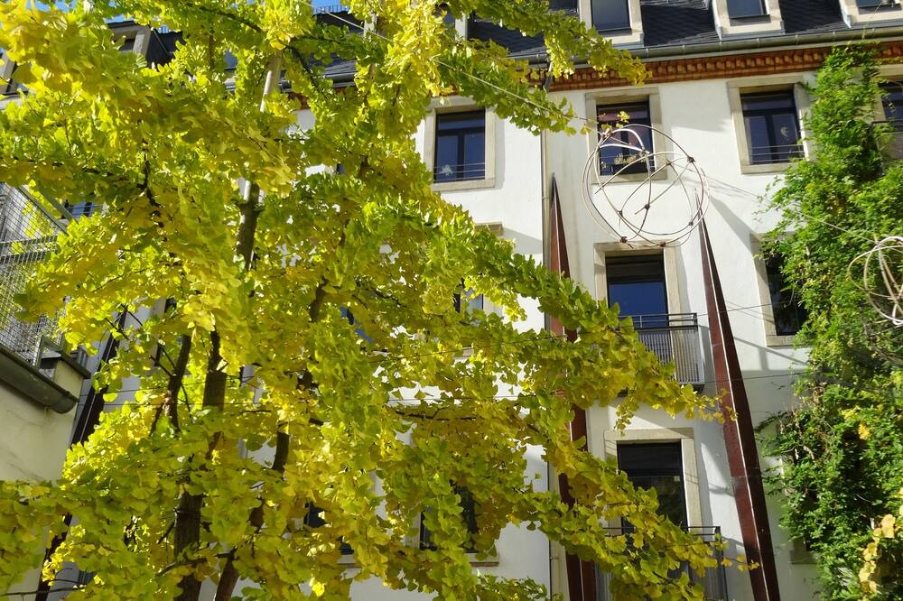 Photo of Outdoor in Outer Neustadt