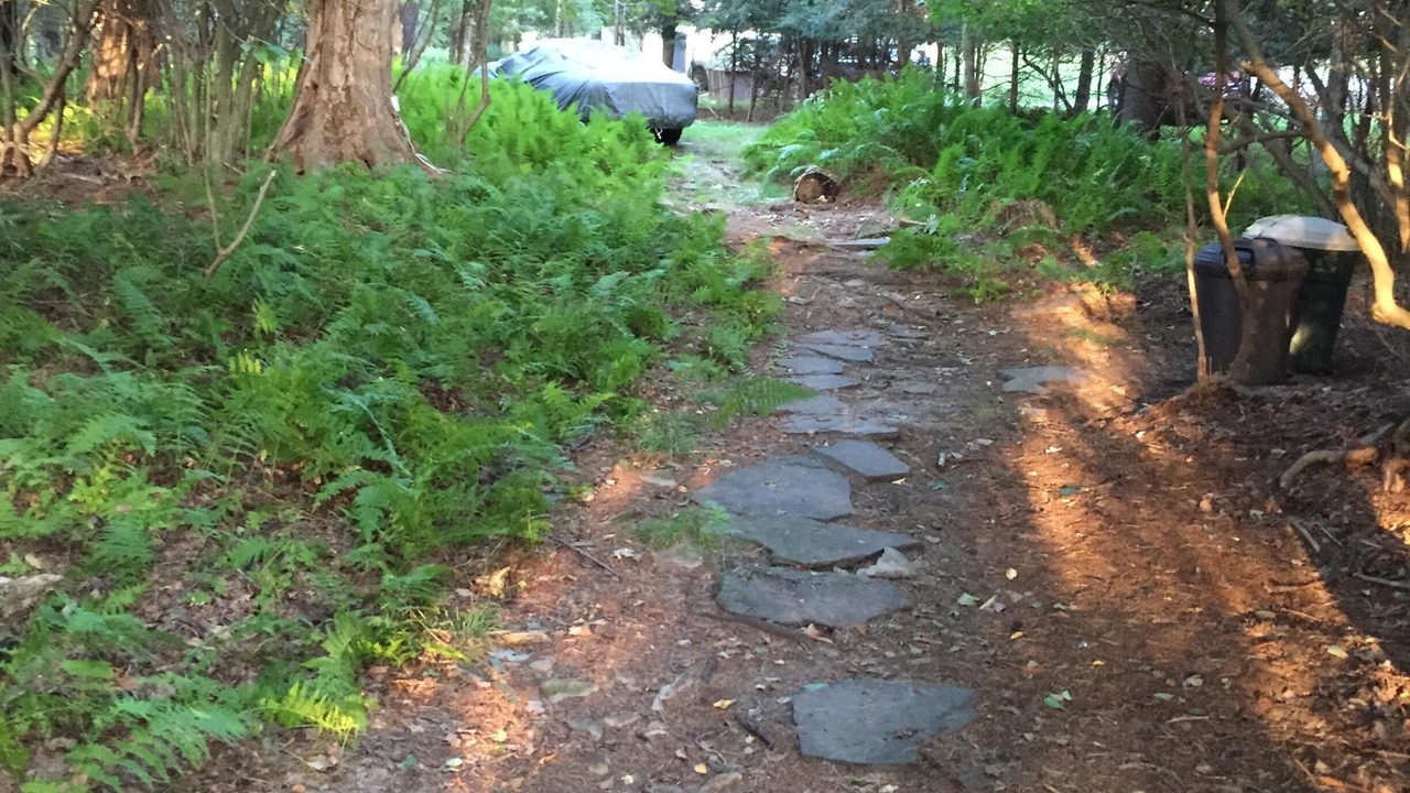 Photo of Outdoor in Smallwood