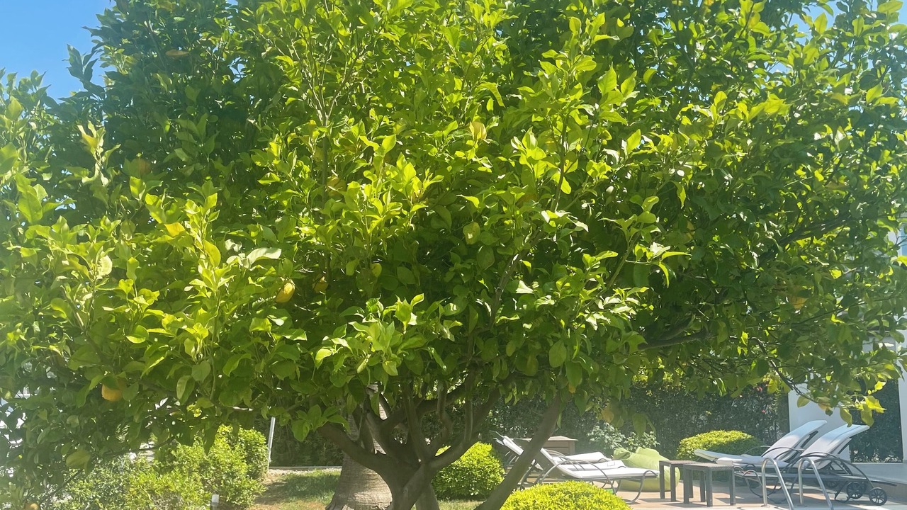 Photo of Outdoor in Manavgat