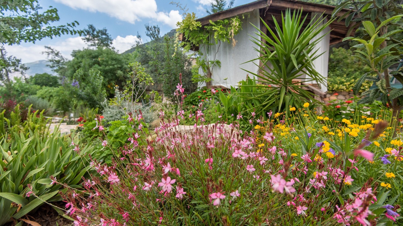 Photo of Outdoor in Uzumlu