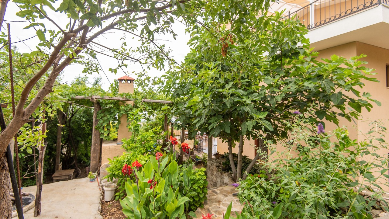 Photo of Outdoor in Uzumlu