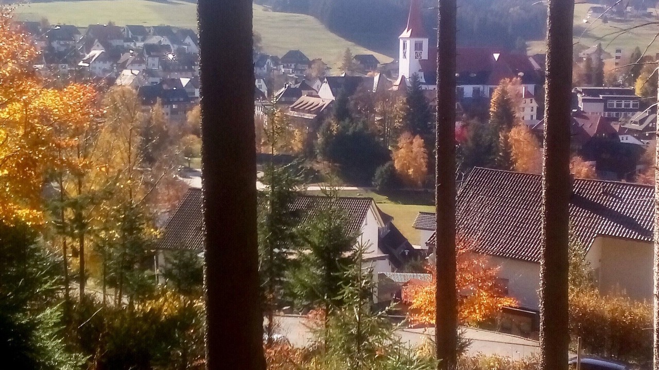 Photo of Others in Schonach im Schwarzwald
