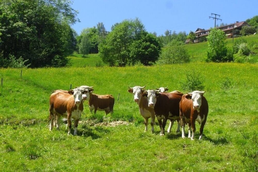 Photo of Outdoor in Aftersteg