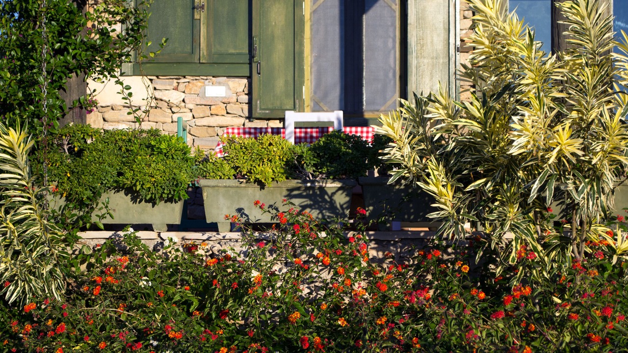 Photo of Outdoor in Manavgat