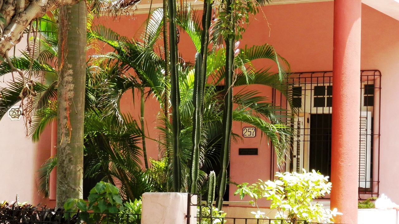 Photo of Outdoor in El Vedado