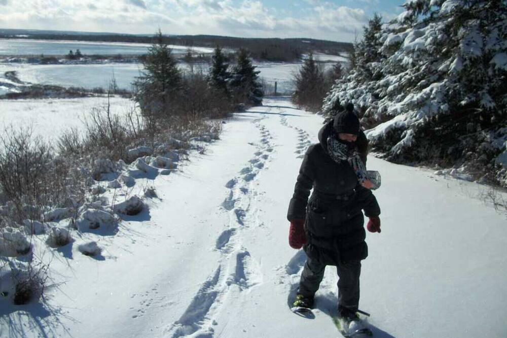Photo of Others in Pomquet