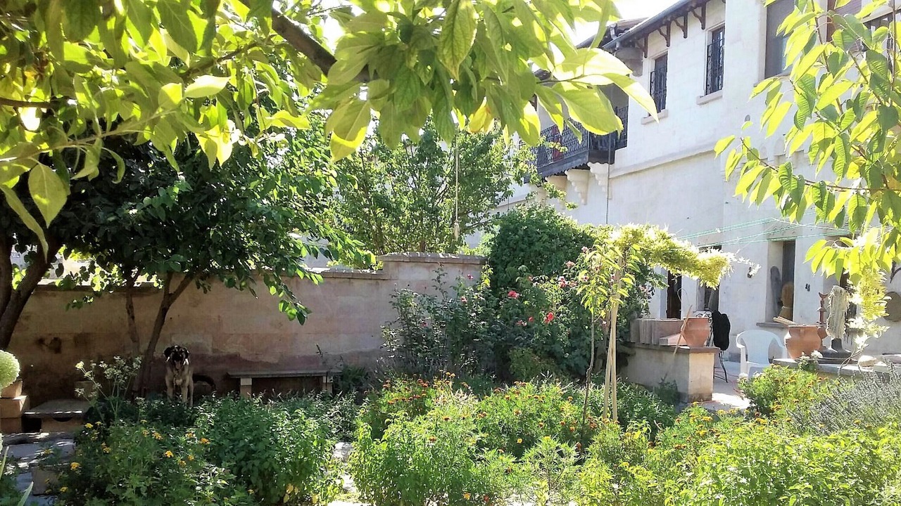 Photo of Outdoor in Avanos
