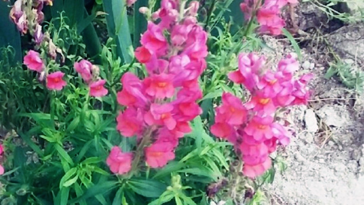 Photo of Outdoor in Avanos