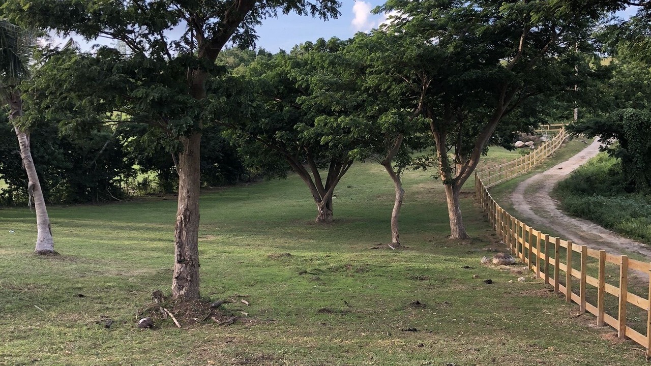 Photo of Others in Vieques