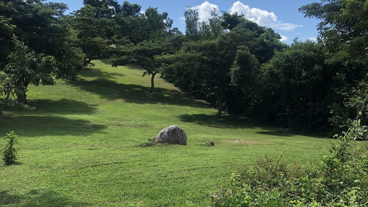 Photo of Others in Vieques