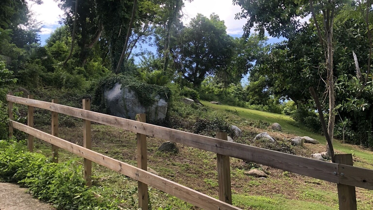 Photo of Outdoor in Vieques