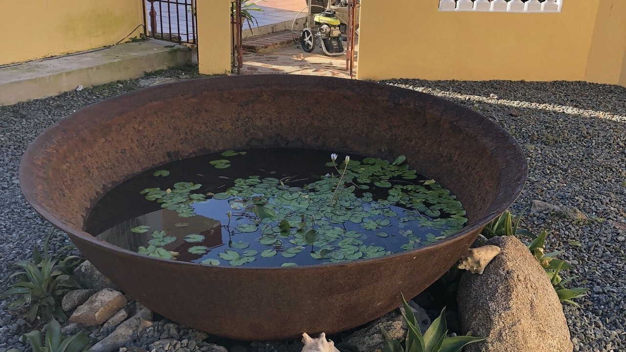 Photo of Outdoor in Vieques