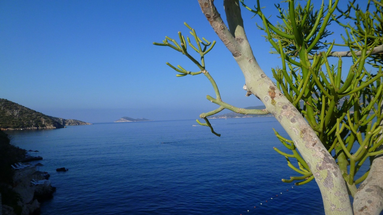 Photo of Outdoor in Olympos