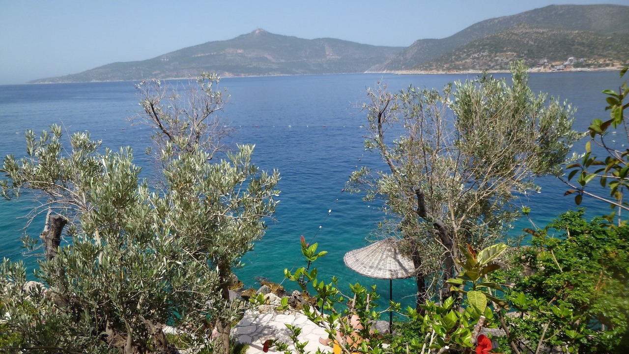 Photo of Others in Olympos